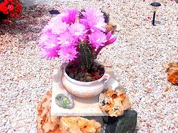 Apartment in Kalyves With sea View