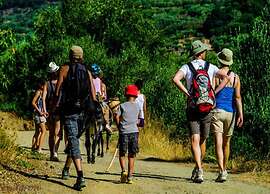 Villa Olga With Swimming Pool