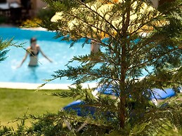 Beautiful Villa With Swimming Pool