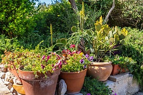 Spacious Holiday Home in Bibinje With Garden