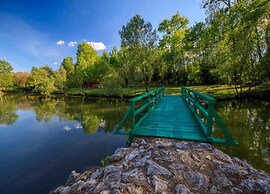 Magnificent Holiday Home in Istria