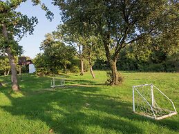 Magnificent Holiday Home in Istria