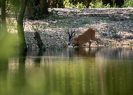 Holiday Home in Dramalj Near sea