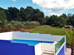 Modern Apartment in Bibinje With Pool