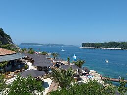 Villa on an Exclusive Location in Dubrovnik With Pool