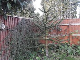 Cherry Palace 3 BD Parking Spaces groups