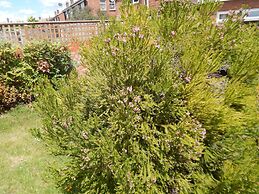 Cherry Palace 3 BD Parking Spaces groups