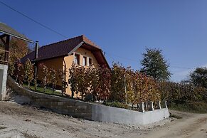 Vineyard cottage Tramte