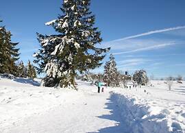 Apartment in Olsberg Near the ski Area