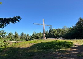 Apartment in Olsberg Near the ski Area