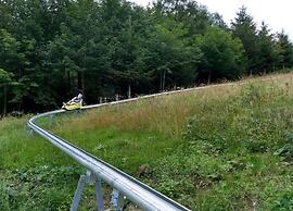 Apartment in Olsberg Near the ski Area