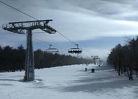 Apartment in Olsberg Near the ski Area