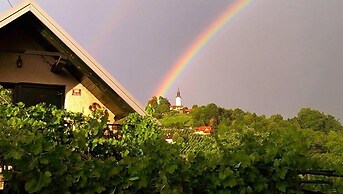 Vineyard cottage Verček