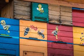 Vineyard Cottage Vina in Medu