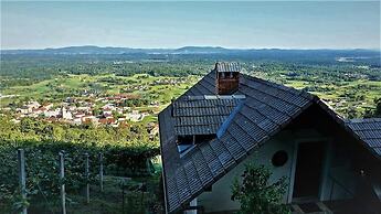 Vineyard Cottage Zajc