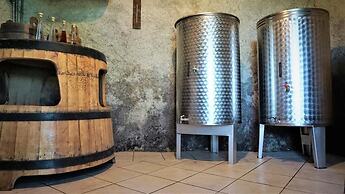 Vineyard Cottage Zajc