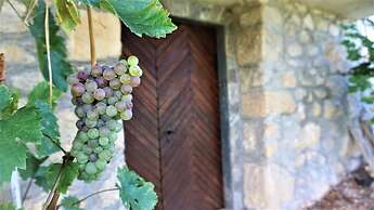 Vineyard Cottage Zajc