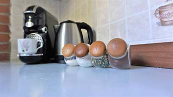 Vineyard Cottage Zajc