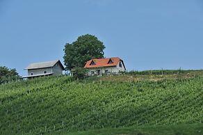 Vineyard cottage Zdolšek