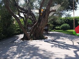 Modern Apartment in Kastel Stafilic With Fenced Garden