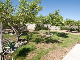 Apartment in Seget Donji With Terrace