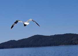 Comfortable Apartment With Balcony in a Quiet Area, Near the Beach