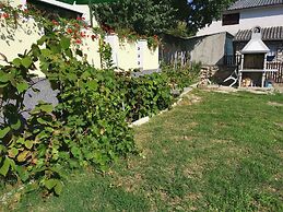 Spacious Holiday Home in Pakoštane near Sea