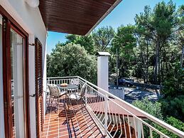 Apartment in Dalmatia With Terrace