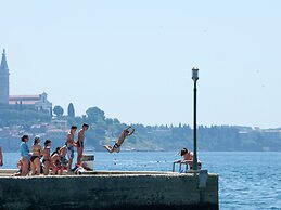 Comfortable Holiday Home With a Microwave, Near Rovinj