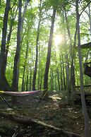 Autumn Wings - A Natural Retreat