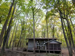 Autumn Wings - A Natural Retreat