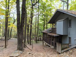 Autumn Wings - A Natural Retreat