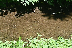 Fleur de Lis - A Knightly Abode!