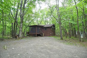 Woods Song - Natures Promise