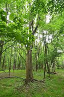 Woods Song - Natures Promise