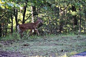 The Outlook - A Majestic View!