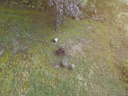 The Outlook - A Majestic View!