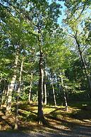 The Outlook - A Majestic View!