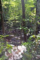 Rosies Creekside Retreat - 3 BR Escape!