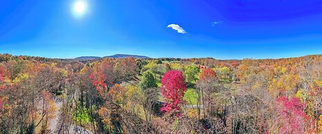 Mariposa Moon Cottage at Sleepy Creek