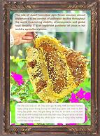 Paradise Resort Doc Let – All Inclusive