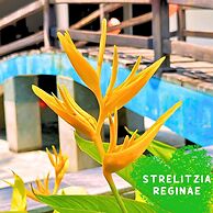 Paradise Resort Doc Let – All Inclusive