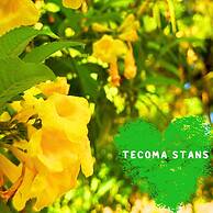 Paradise Resort Doc Let – All Inclusive