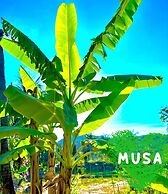 Paradise Resort Doc Let – All Inclusive