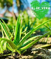 Paradise Resort Doc Let – All Inclusive