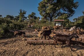 Villa Athena by halu! Villas