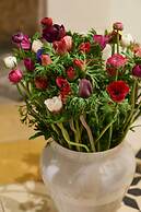 LALA Boutique Hotel Tel-Aviv