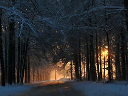 Luxurious Home With a Sauna