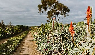 The Stables Cottages