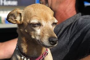 Christina Lake Motel and RV Park